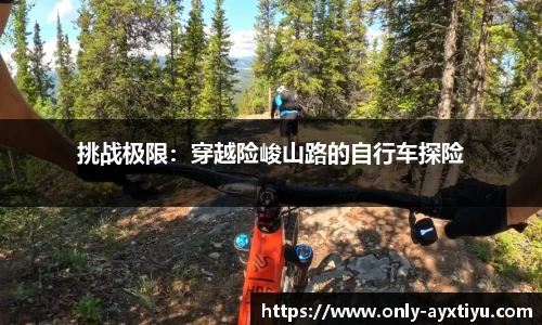 挑战极限：穿越险峻山路的自行车探险